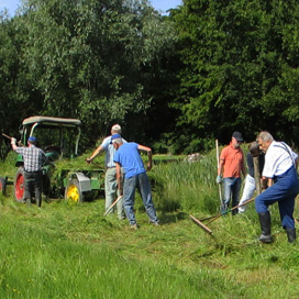 Tiefenbachgewässer